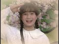 森高千里 見つけたサイフ
