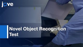 Novel Object Recognition Test: Investigation Of Learning & Memory In Mice l Protocol Preview screenshot 4