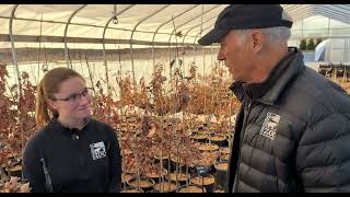 Impacting Landscapes   Native Plants Near And Far - Cincinnati Zoo