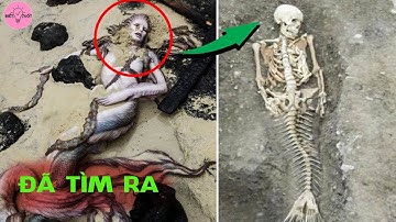 Bắt Gặp Nàng Tiên Cá Có Thật Dạt Vào Bờ Biển Bí Ẩn Khiến Các Nhà Khoa Học Phải Điên Đầu
