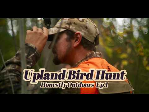 Honestly Outdoors EP1 Upland Bird Dog Game Hunt: Woodcock Chronicles & Shot Gun Shells