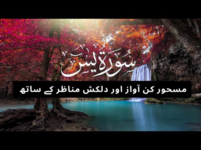 Surah Yasin (Yaseen) | By Sheikh Abdur-Rahman As-Sudais | Full With Arabic Text (HD) | 36سورۃ یس class=