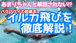 #45【バタフライ】水中の体さばきの基本練習イルカ飛びをしっかり解説！【水泳】