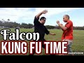 Kung fu time  falcon thunder hammer fist with sifu bruce chu