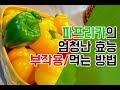 파프리카의 효능과 부작용 그리고 먹는방법은? paprika effect