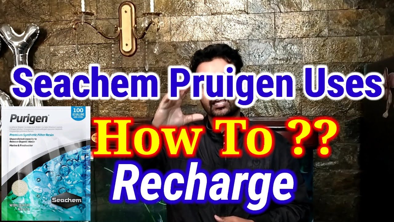 Purigen Seachem How To Recharge / How To Use & Get Crystal Clear