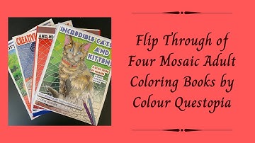 Flip Through of Four Mosaic Color by Number Books by Color Questopia