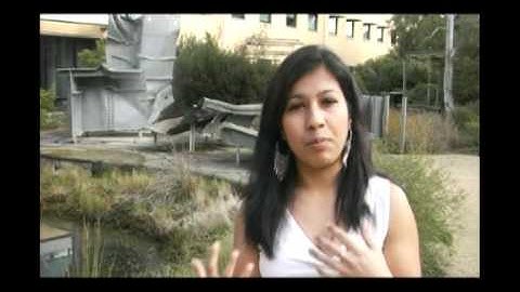 Computer Science and Software Engineering Faculty of Information Technology - Monash University