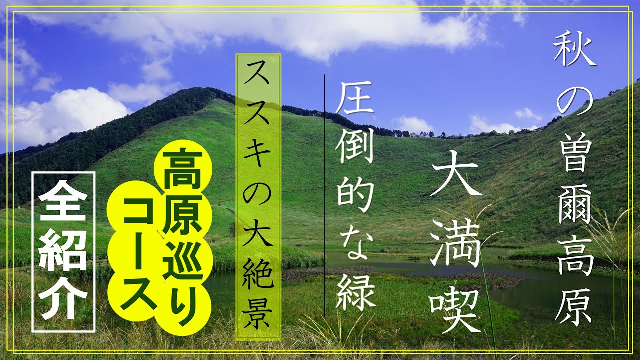 【ススキの絨毯 曽爾高原の歩き方】雄大な絶景を楽しむ高原巡りコースを徹底紹介　週末ハイキングの予習にどうぞ 日本三百名山の倶留尊山にも登ります