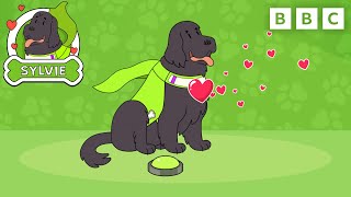 Therapy Dog Sylvie's Best Moments 🦴 | Dog Squad | CBeebies