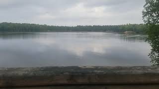 Loons on the Ausable River