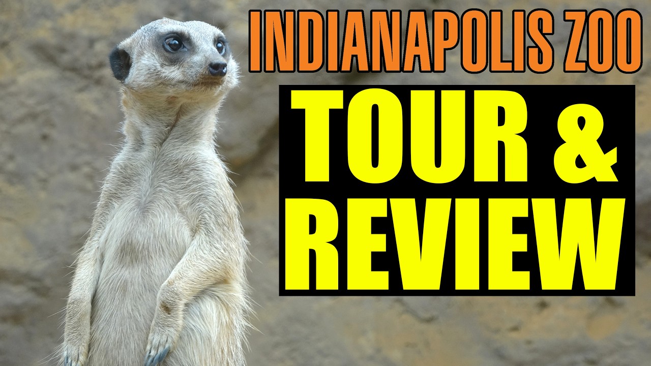 Indianapolis Zoo Tour & Review with The Legend