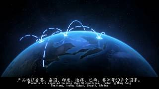 Brief Introduction To Oale Mobile