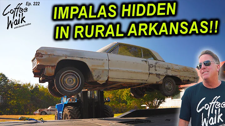 RESCUED: 7 Hidden Cars in Rural Arkansas!!