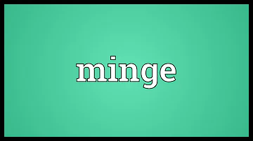 Whats Minge mean in slang?