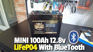 PUPVWMHB 12V 100Ah MINI LiFePO4 Lithium Battery w/Bluetooth