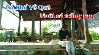 Bỏ Phố Về Quê Bắt Đầu Cuộc Sống Nơi Thôn Dã, Gieo Hạt Và Thu Hoạch Rau Củ | Út Về Vườn