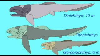 PL EXAM 1: EXTINCT GROUPS OF FISH.avi