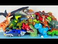 ASMR Jurassic World Unboxing Colorful Dinosaur T-rex Mosasaurus Triceratops Maiasaura Stegosaurus
