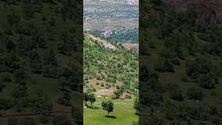 Gerger Ilkbahar Görünümü