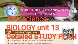 10th SCIENCE BIOLOGY Unit 13 DETAILED STUDY PLAN Leech Rabbit Structural Organisation of Animals screenshot 4