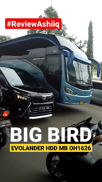Bus Big Bird Evolander HDD OH1626