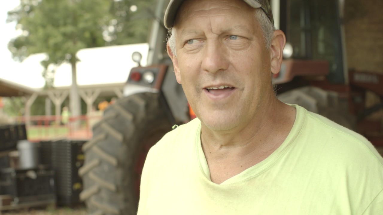 First Fruits Farm My, How We've Grown! YouTube