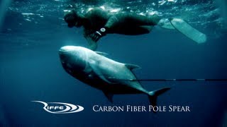 Spearfishing – Pole Spear Diaries II (70lb Ulua)