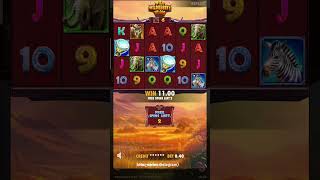 Famous Wild Wildebeest Wins (Small Bet, Big Win2) #slot #slotbigwin Wealth