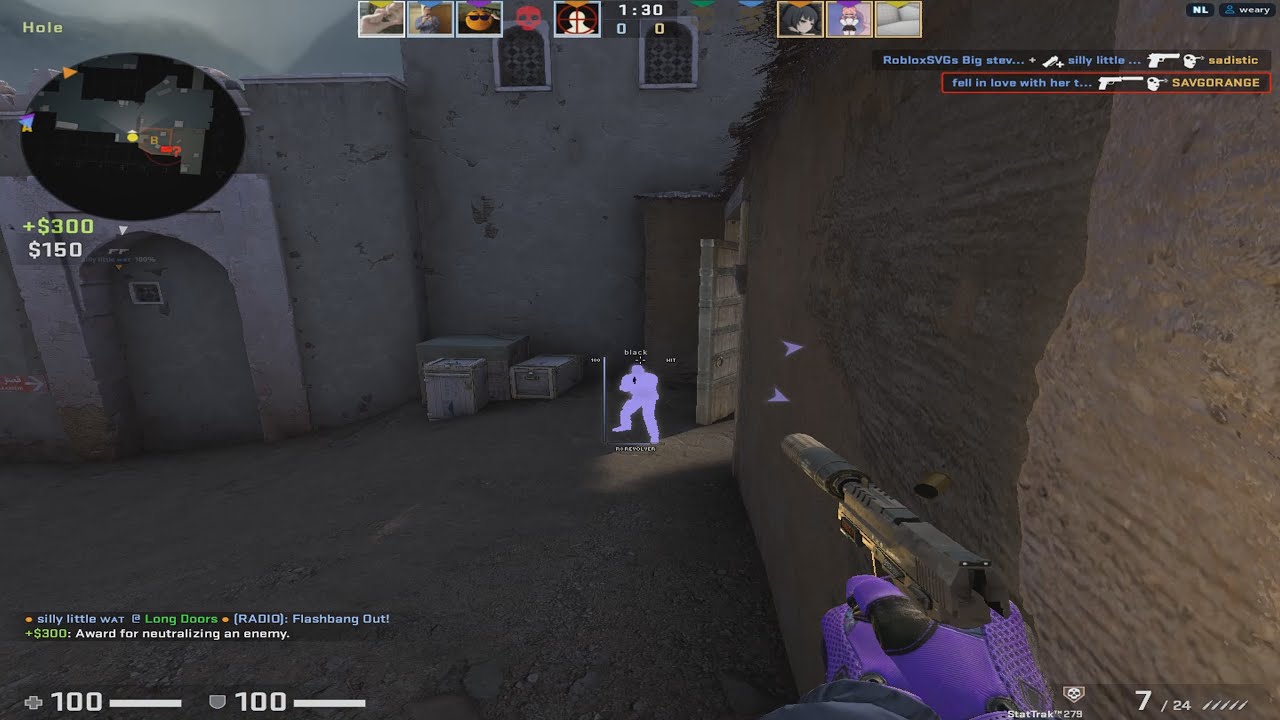 semirage highlights ft. neverlose.cc