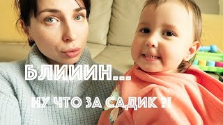 РУГАЮСЬ НА НЕМЕЦКИЙ САДИК 🤯 - Ollysadvice