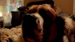 SANY0154.AVI