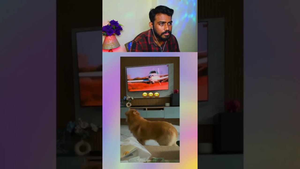 She thought its real – Bitverse Reaction! 