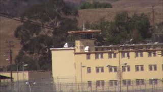 In this edition of life on the beat with nasty nathanial a friend and
i decide to have look at california men's colony, state prison located
san l...