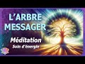 20 min  un message de larbre vnrable  mditation guide  hypnose  soin dnergie 