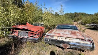 HUGE Classic Car Junk Yard Exploration Baxters!