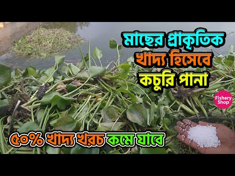 ভিডিও: আজকাল আমাদের মধ্যে জলজ ব্যবহার করা হয়?