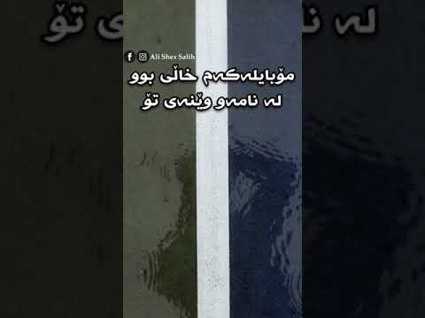 Ali Shex Salih 2021 Mn Tom Labir Krdbuw من تۆم لەبیرکردبوو 