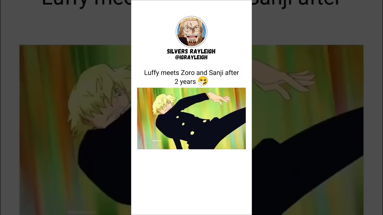 Luffy meets Zoro and Sanji after 2 years