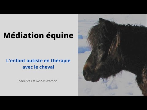 Vídeo: La Investigació Demostra Que Els Animals Redueixen L'estrès En Nens Autistes Vinculació Humana I Animal