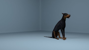 3D Animation_Dog Rig