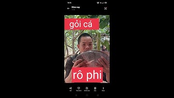 gỏi cá rô phi//luận vlogs