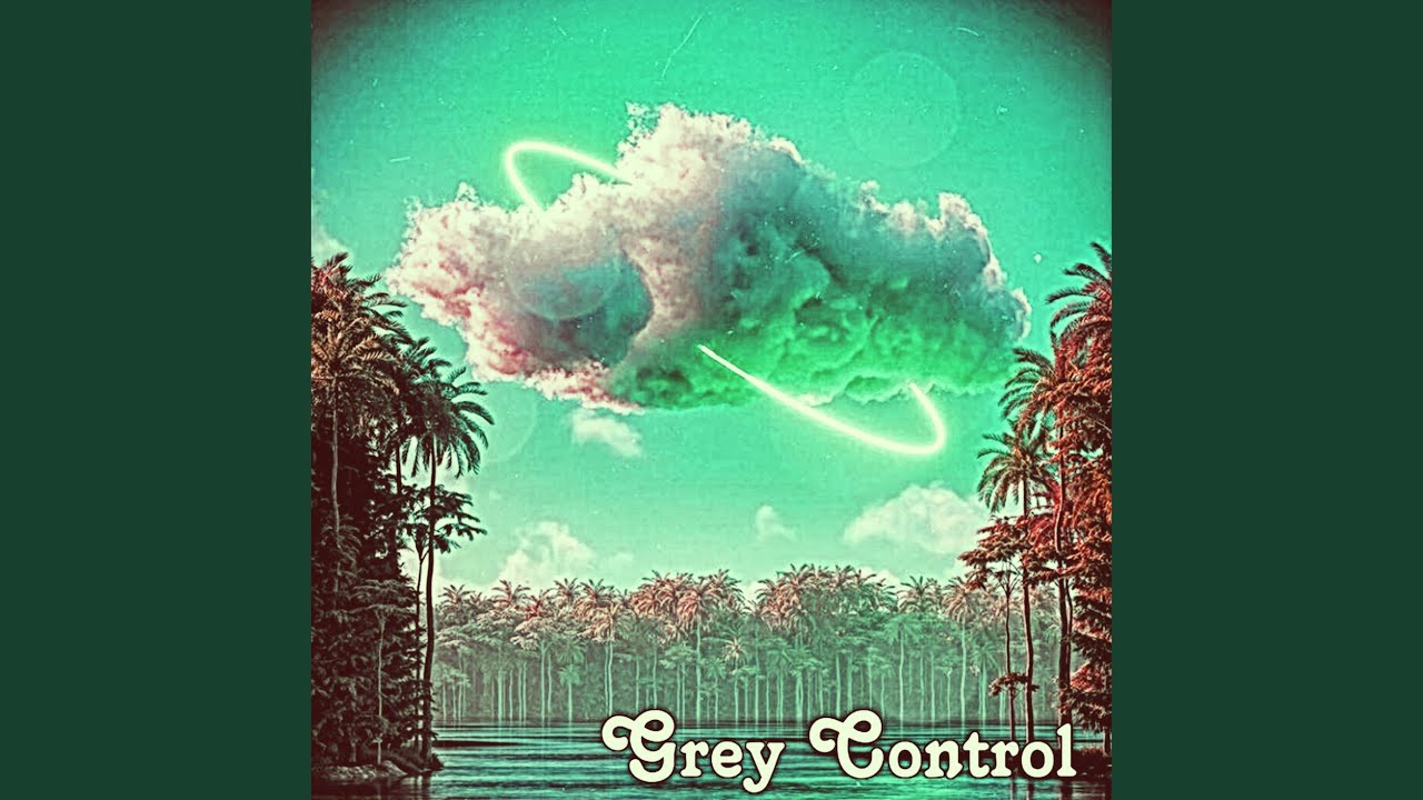 Grey Control
