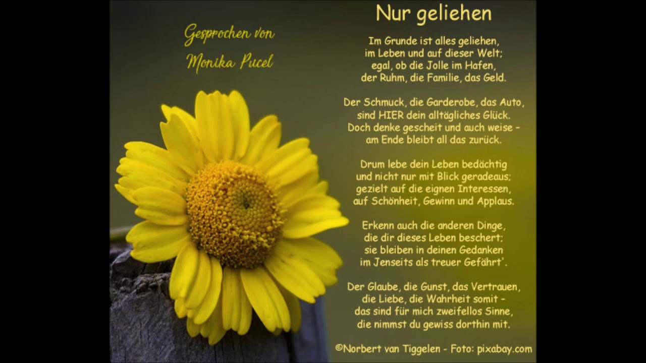 Nur geliehen YouTube