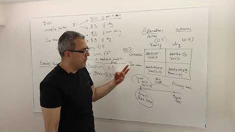 (M5E6) [Microeconomics] Expected Utility Theory at Work: Risky Investment Problem 1