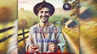 Download Lagu Hai Hui - Nebun MP3