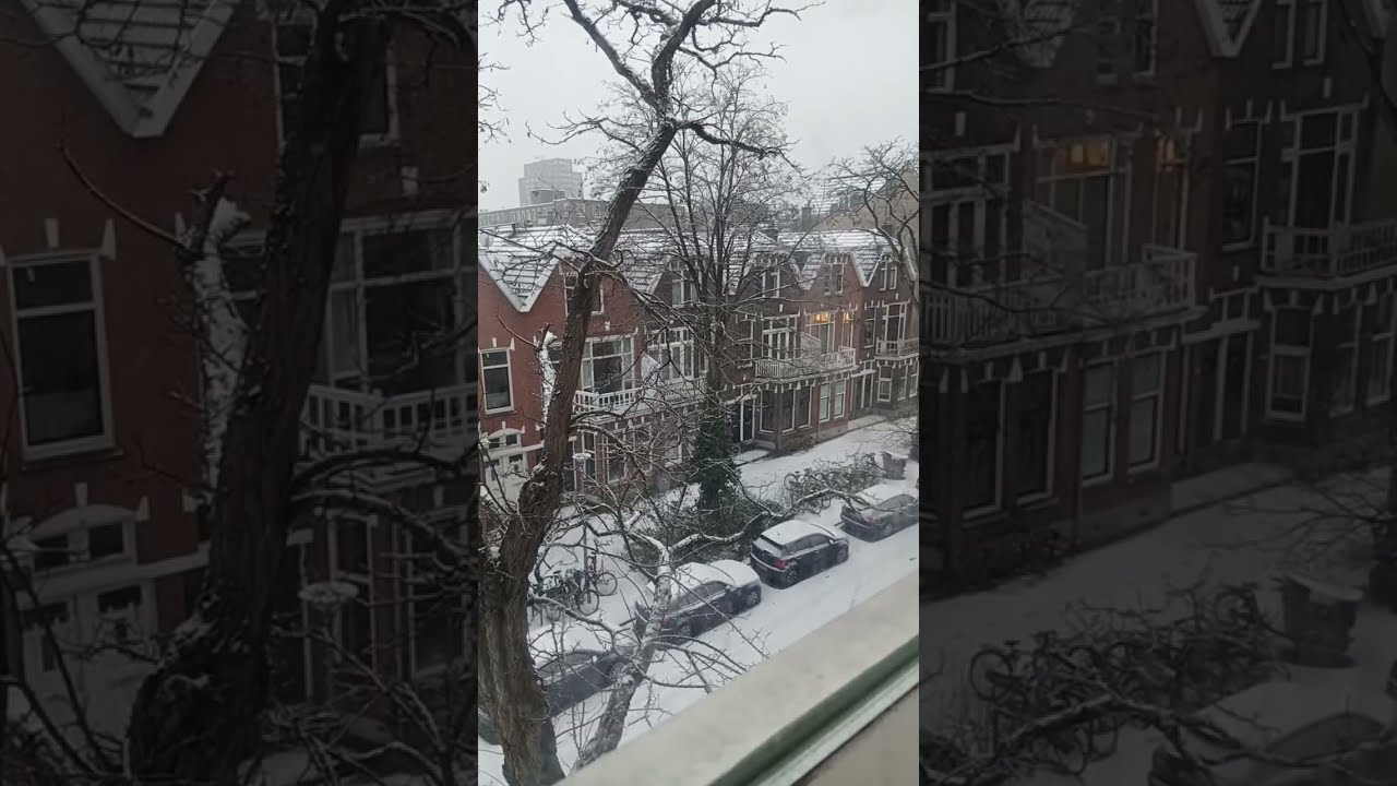 The First Week of January Begin Snow