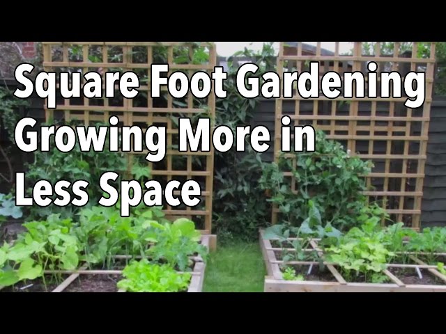 A closer look at 000 Square Feet Of Outdoor Space