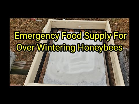 Emergency Food Supply For Over Winter Honeybees