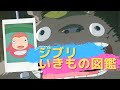 ジブリのいきもの図鑑 by BGMメドレー | Studio Ghibli Slide Collection